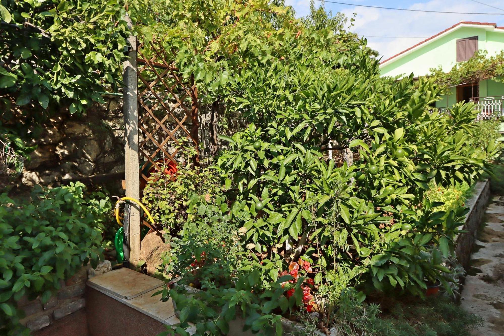 Apartments With A Parking Space Icici, Opatija - 7788 Εξωτερικό φωτογραφία